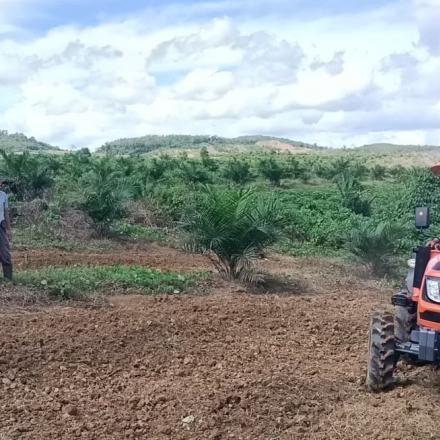 Tanam Jagung Pemdes Gunung Ulin Dukung Ketahanan Pangan Desa